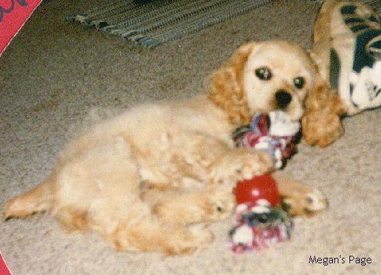 This is me when I was a puppy.